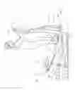 Fig. 02 - EXERCISE APPARATUS COMPRISING ADJUSTABLE FOOT PADS AND RELATED METHODS