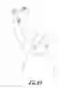 Fig. 08 - Dumbbell
