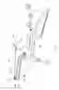 Fig. 08 - ROPE PULLING EXERCISE APPARATUS