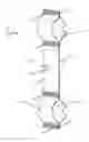 Fig. 01 - Exercise device