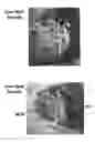 Fig. 01 - Glass batch materials having a core-shell structure