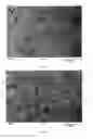 Fig. 07 - Fabric phase sorptive extractors