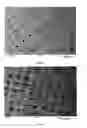 Fig. 08 - Fabric phase sorptive extractors