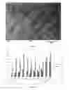 Fig. 09 - Fabric phase sorptive extractors
