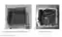 Fig. 01 - COMPOSITIONS AND METHODS FOR REDUCING DUST AND REPELLING, CONTROLLING, OR DIRECTING AN INSECT