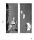 Fig. 02 - COMPOSITIONS AND METHODS FOR REPELLING POLLINATING INSECTS AND PROTECTING PLANTS AND CROPS AGAINST INSECTS AND/OR NEMATODES