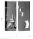 Fig. 02 - Compounds, Compositions, and Methods for Altering Behavior of Insects Or Other Organisms