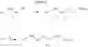 Fig. 13 - MOLECULES HAVING CERTAIN PESTICIDAL UTILITIES, AND INTERMEDIATES, COMPOSITIONS, AND PROCESSES RELATED THERETO
