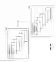 Fig. 09 - Set membership testers for aligning nucleic acid samples