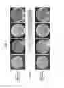 Fig. 09 - Antigen derived from extracellular domain of multi-transmembrane protein and uses thereof