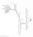 Fig. 02 - Detection of nucleic acids
