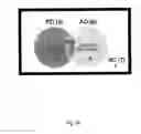 Fig. 43 - BIOMARKERS
