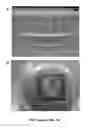 Fig. 02 - Methods, Systems, and Compositions for In Vitro Concentric Cell Culture Analog Systems