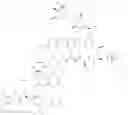 Fig. 06 - Hydrochloride salts of a glycopeptide-cephalosporin antbiotic compond