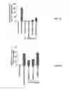 Fig. 09 - Methods of use for an antimicrobial peptide