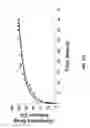 Fig. 09 - BIODEGRADABLE THERAPEUTIC NANOPARTICLES CONTAINING AN ANTIMICROBIAL AGENT