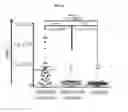 Fig. 07 - Methods, compositions, and kits for detection of aspergillosis