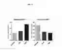 Fig. 09 - PROANP COMPOSITIONS AND METHODS FOR TREATING ACUTE HEART FAILURE