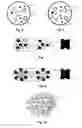 Fig. 03 - Resorbable oxidized cellulose embolization microspheres