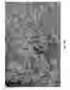 Fig. 06 - Resorbable oxidized cellulose embolization microspheres