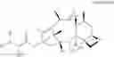 Fig. 41 - CYCLODEXTRIN-BASED POLYMERS FOR THERAPEUTIC DELIVERY