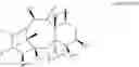 Fig. 43 - CYCLODEXTRIN-BASED POLYMERS FOR THERAPEUTIC DELIVERY