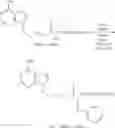 Fig. 23 - Acyclic nucleoside phosphonate diesters