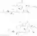 Fig. 52 - QUATERNARY SALTS