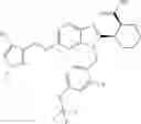 Fig. 131 - 1,2,6-substituted benzimidazoles as FLAP modulators