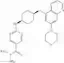 Fig. 110 - DNA-PK inhibitors