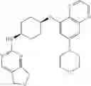 Fig. 256 - DNA-PK inhibitors