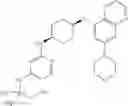 Fig. 302 - DNA-PK inhibitors