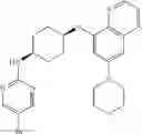 Fig. 83 - DNA-PK inhibitors