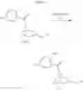 Fig. 46 - Substituted 7-azabicyles and their use as orexin receptor modulators