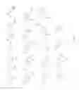 Fig. 45 - Transient protection of normal cells during chemotherapy