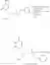 Fig. 72 - Acyclic nucleoside phosphonate diesters