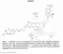 Fig. 02 - Methods of manufacture of pteroyl-amino acid-fluorescent dyes
