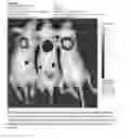Fig. 09 - Methods of manufacture of pteroyl-amino acid-fluorescent dyes