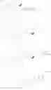 Fig. 22 - Methods of manufacture of pteroyl-amino acid-fluorescent dyes