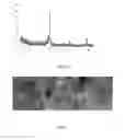 Fig. 07 - Acid-functionalized nanoparticle catalyst and catalyzed reactions using the same