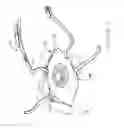 Fig. 03 - COLLAGEN-BASED OPHTHALMIC INTERFACE FOR LASER OPHTHALMIC SURGERY