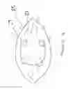 Fig. 05 - COLLAGEN-BASED OPHTHALMIC INTERFACE FOR LASER OPHTHALMIC SURGERY