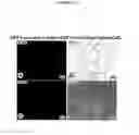 Fig. 26 - Sensors, Sensor Systems and Methods