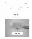 Fig. 07 - In vivo glucose sensing in an increased perfusion dermal layer