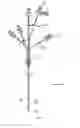 Fig. 02 - CATHETER AND SHEATH INTRODUCER