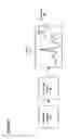 Fig. 05 - METHOD AND APPARATUS FOR DISPLAYING PERIODIC SIGNALS GENERATED BY A MEDICAL DEVICE