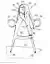 Fig. 01 - Skin tensiometer