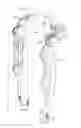Fig. 01 - Transmission assembly for use in an exoskeleton apparatus