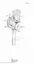 Fig. 07 - Strap assembly for use in an exoskeleton apparatus