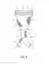 Fig. 04 - Clothing article with protective cup